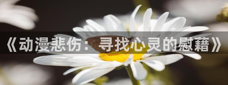 age动漫下载