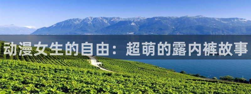 age专注动漫的门户网站