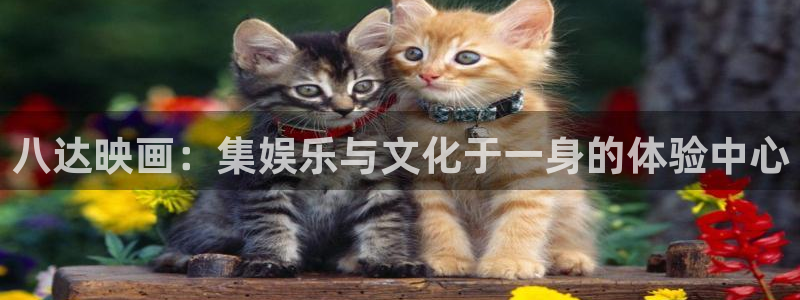 age动漫下载动漫全免费