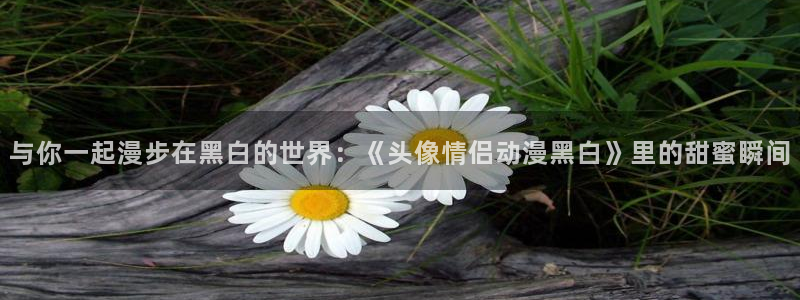 age动漫网