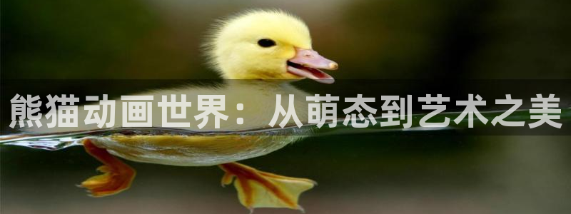 age专注动漫的门户网站