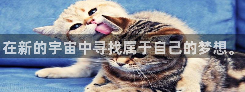 age动漫官网入口老版本