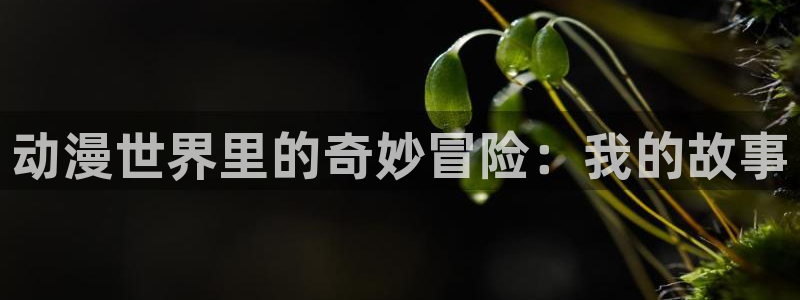 colamanage漫画：动漫世界里的奇妙冒险：我的故事