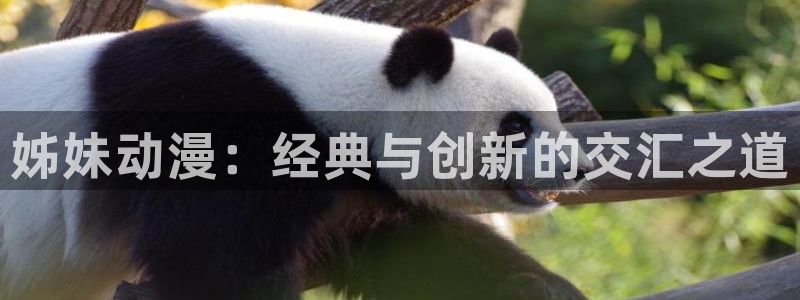 age动漫官网网址：姊妹动漫：经典与创新的交汇之道