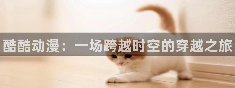 拷贝漫画 copymanager.ory网站：酷酷动漫：一场跨越时空的穿越之旅