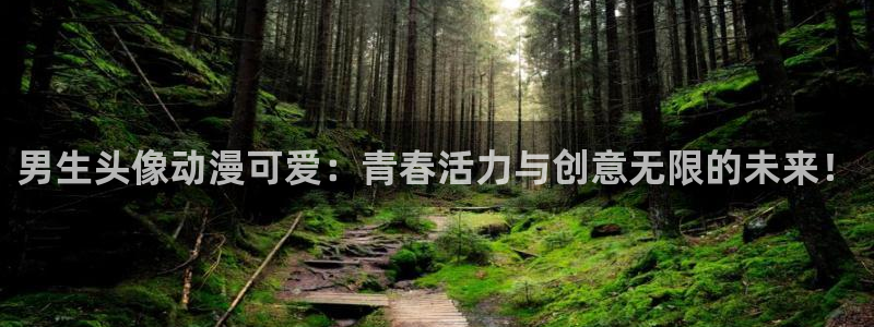 age动漫官网版入口：男生头像动漫可爱：青春活力与创意无限的未来！