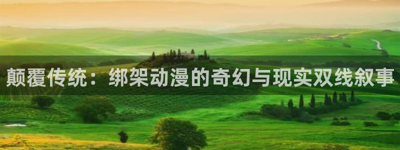 age动漫官网入口老版本
