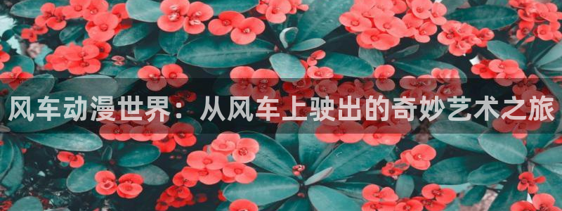 age动漫