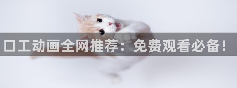 age专注动漫的门户网站