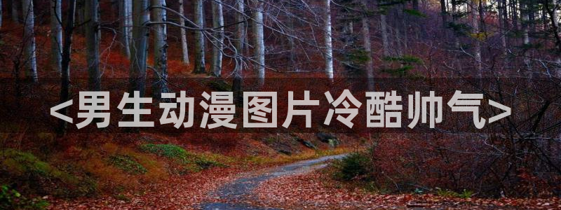 age动漫网