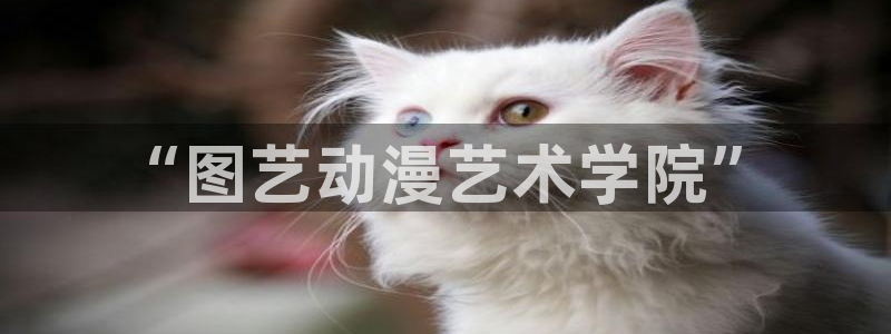 age动漫下载动漫全免费