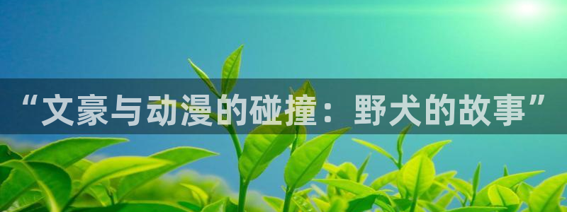下载age动漫