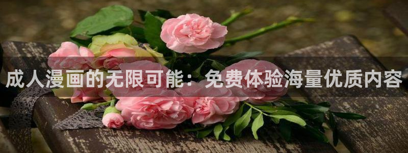 age动漫网官网入口