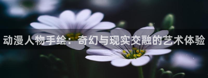 age动漫官网入口老版本