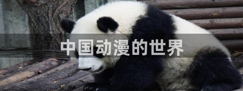 age动漫樱花