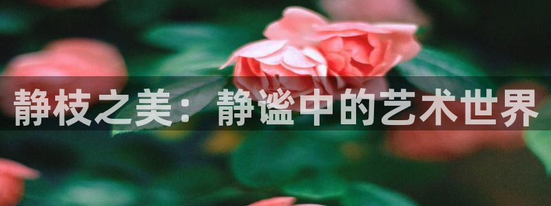 韩国漫画平台kakaopage