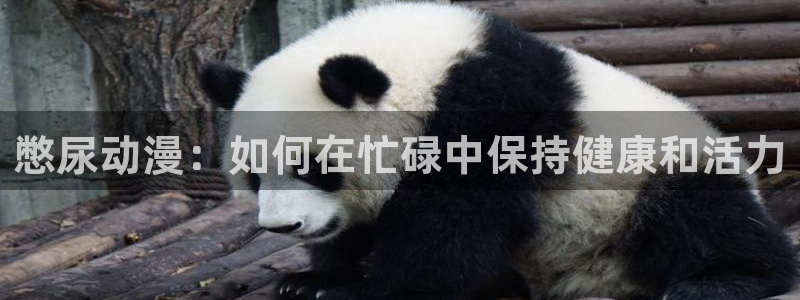 age动漫网