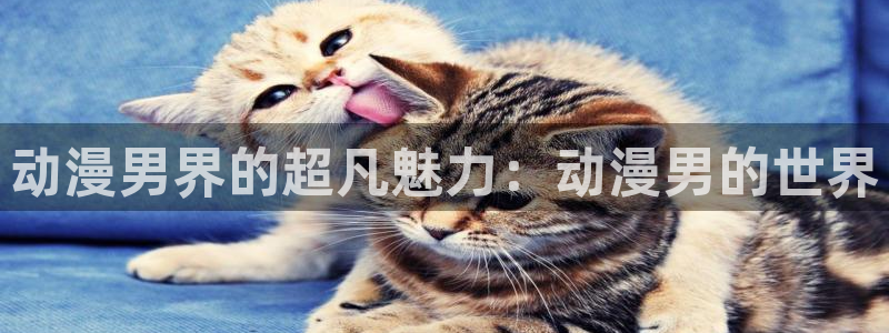 colamanage漫画官网