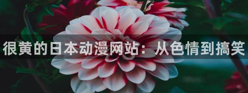 managereader漫画官网入口