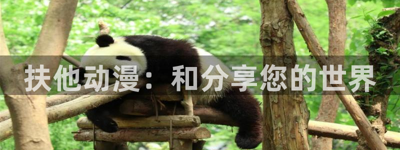 age动漫下载入口